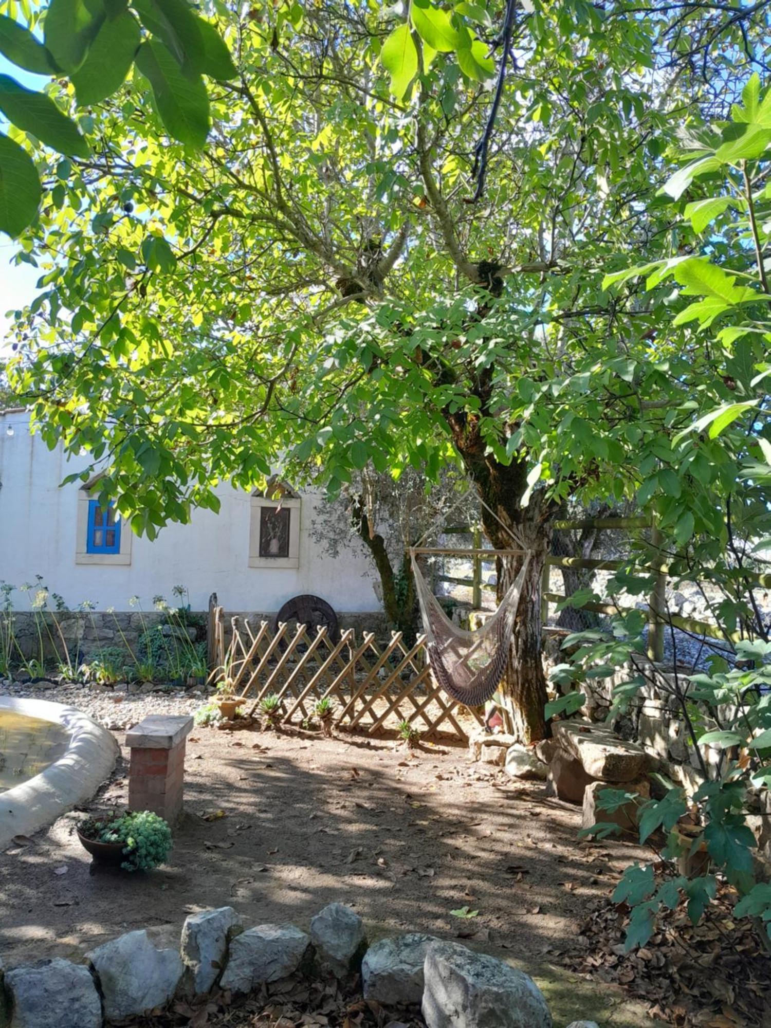 Refugio Das Artes Guesthouse Porto de Mos  Bagian luar foto