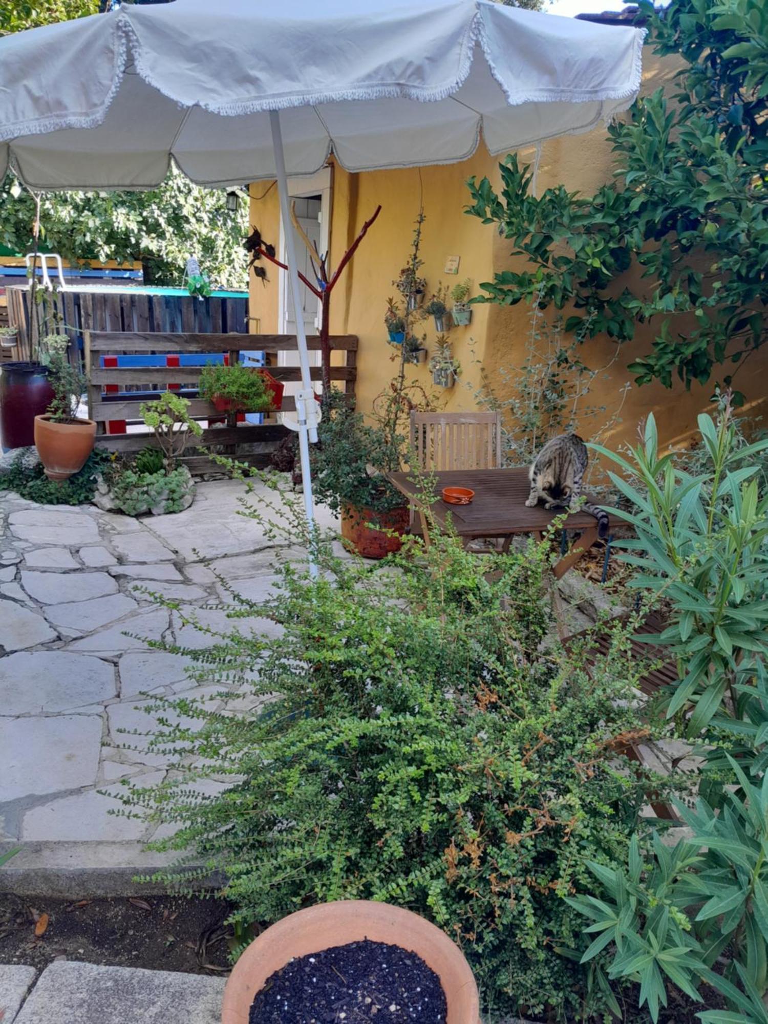 Refugio Das Artes Guesthouse Porto de Mos  Bagian luar foto